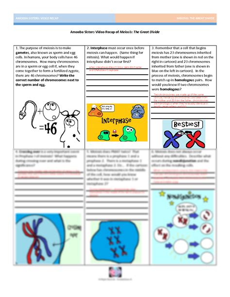 amoeba sisters video recap of meiosis answers